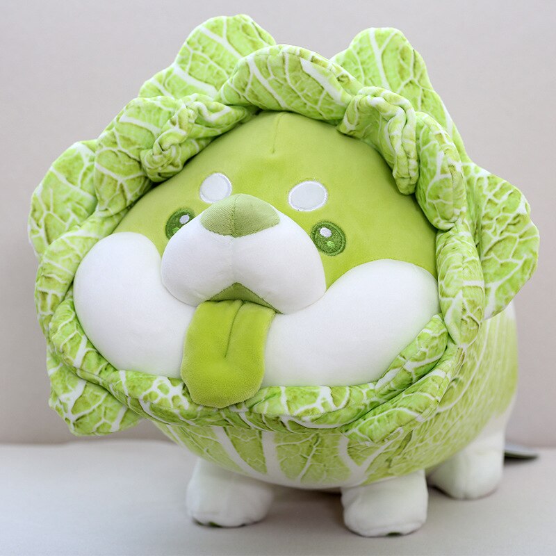 Cabbage Shiba Inu  Ϳ ä  ִϸ̼ ..